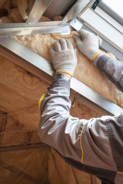 Best Basement Insulation  in Littlestown, PA